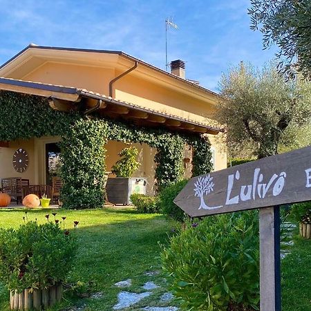 L' Ulivo Bed & Breakfast Teramo Zewnętrze zdjęcie
