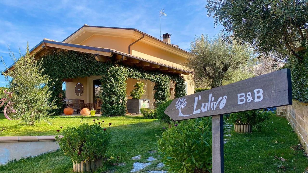 L' Ulivo Bed & Breakfast Teramo Zewnętrze zdjęcie