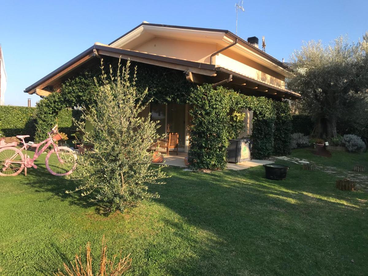 L' Ulivo Bed & Breakfast Teramo Zewnętrze zdjęcie