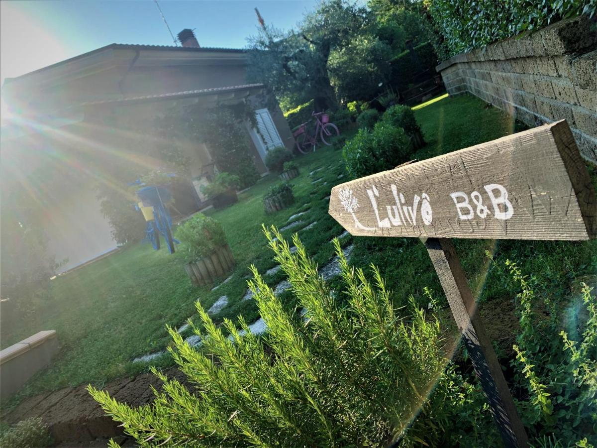 L' Ulivo Bed & Breakfast Teramo Zewnętrze zdjęcie