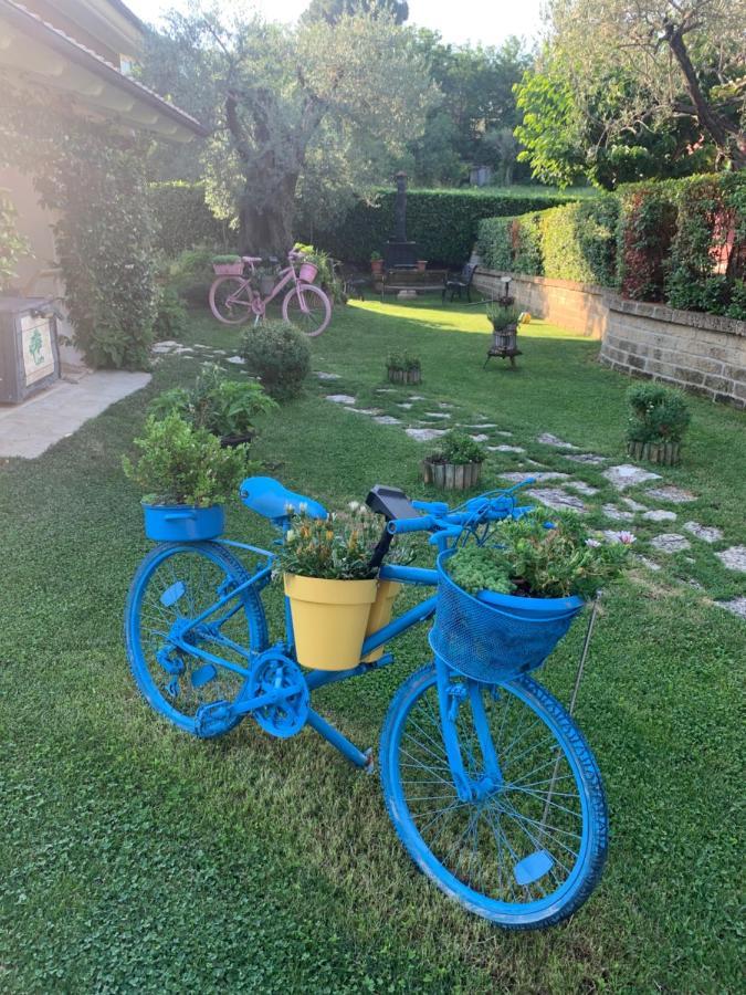 L' Ulivo Bed & Breakfast Teramo Zewnętrze zdjęcie